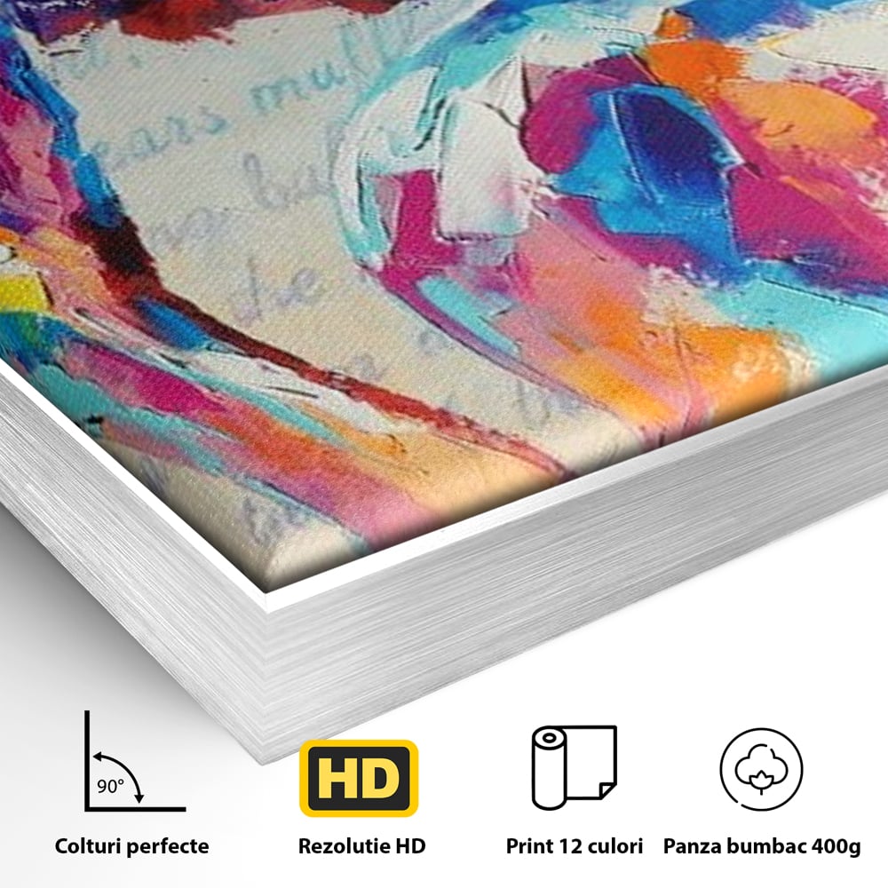 Detaliu al suprafetei: tablou canvas cu portret artistic de femeie, in rama de aluminiu argintiu